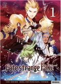 Fatestrange Fake